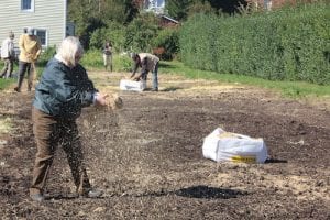 spreading mulch