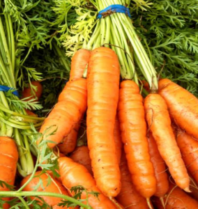 carrots