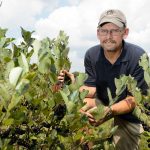 portrait of Mark Brand