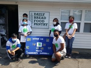 4-h youth at food pantry