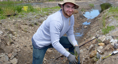 planting shoreline