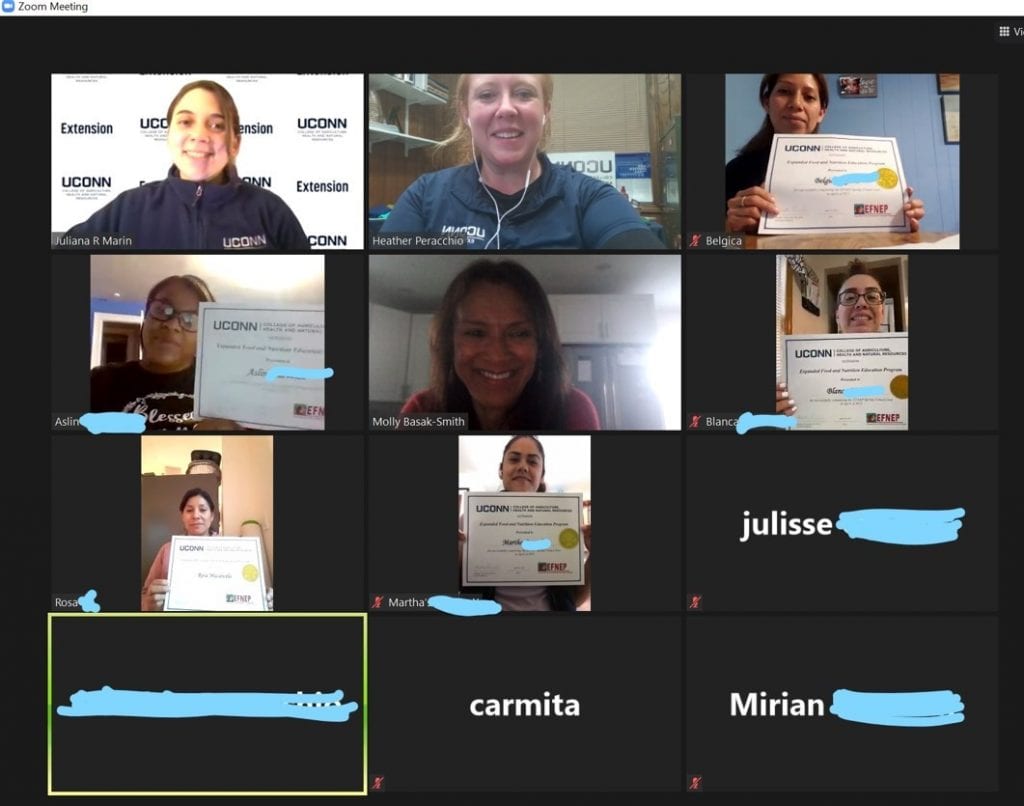 people in a zoom meeting