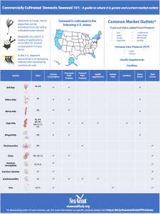 seaweed infographic