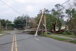 trees across power lines