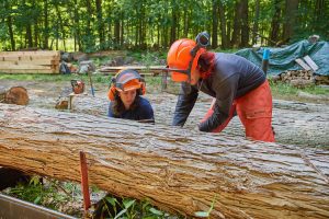 Jose Ayala '22 (CAHNR), left, and Alexandra Pouliot '23 (CAHNR) position a log on a portable sawmill in the Fenton Tract of the UConn Forest near Horsebarn Hill Road