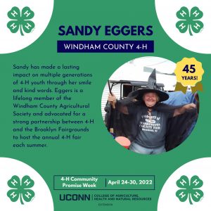 Sandy Eggers