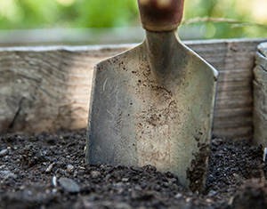 shovel in soil