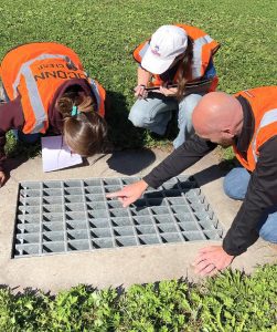 people looking into storm drain