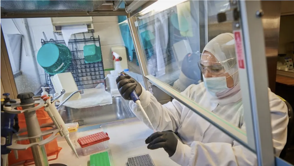 woman running tests in laboratory