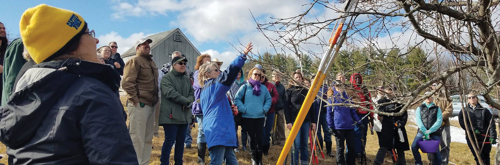 people standing outside in coats looking up at a tree during a pruning workshop