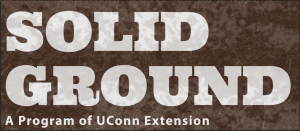 Solid Ground graphic