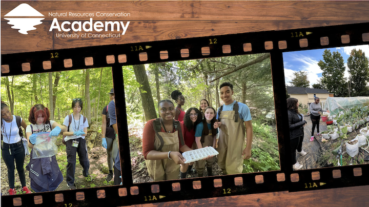 three images of youth in forest