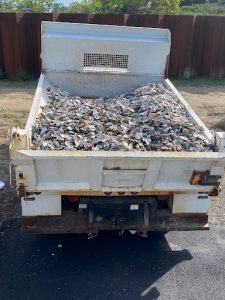 shells in a wagon