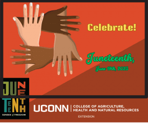 four hands with words Juneteenth