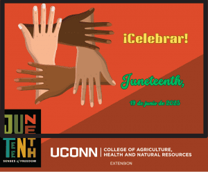 four hands with words Juneteenth