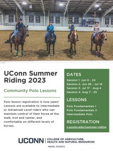 4 students riding on horses. Infographic explains the ext written in this announcement