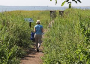 Woman walking on the New Haven coast with her bucket of trash