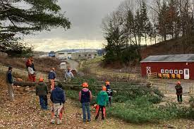 group of people on a farm wearing chainsaw PPE, surrounding a tree on the ground