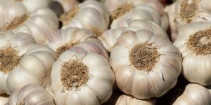 garlic bulbs