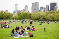 groups of people on blankets in green grass with city scape in the background