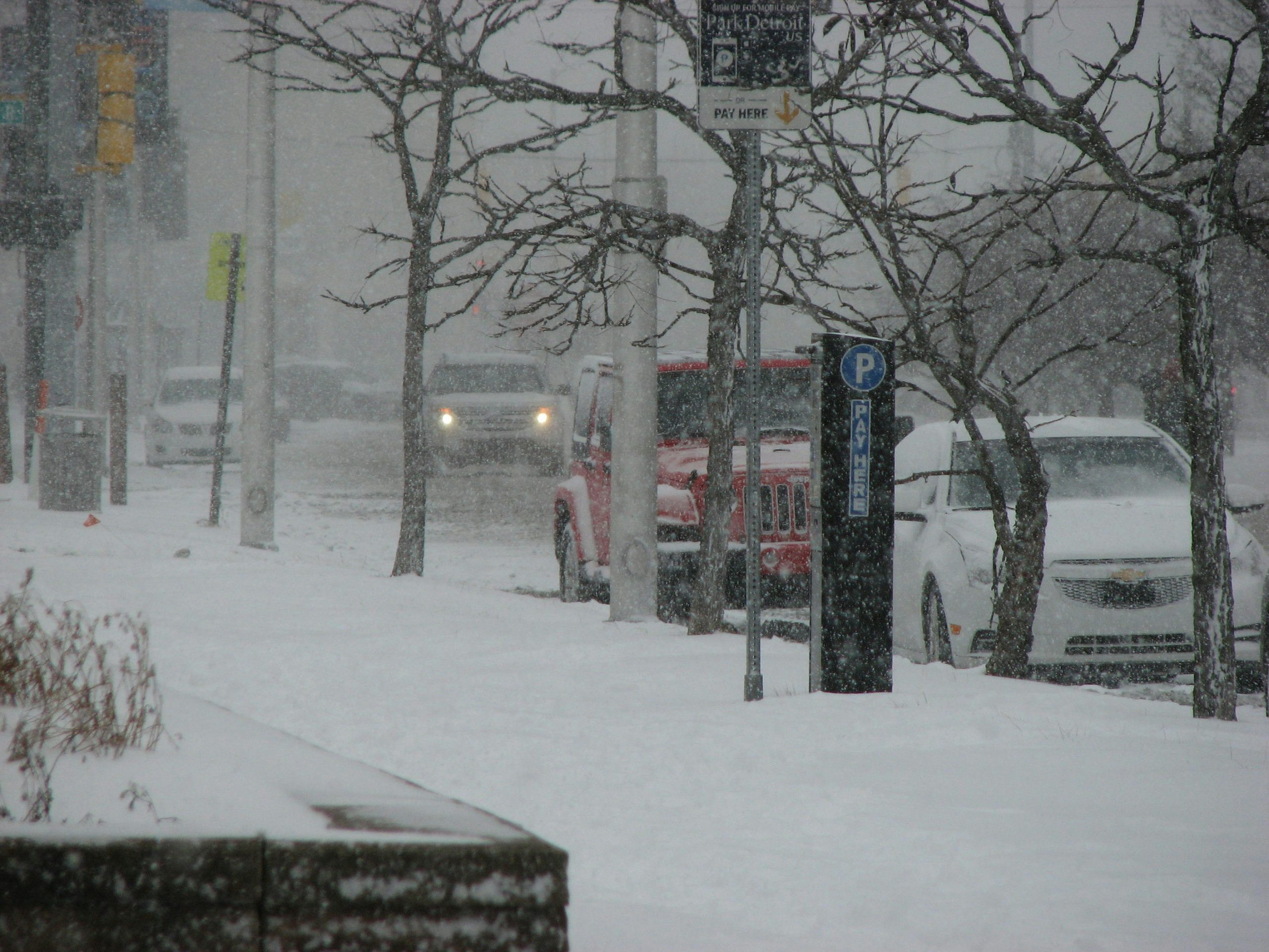 Cars parked along a road covered in snow