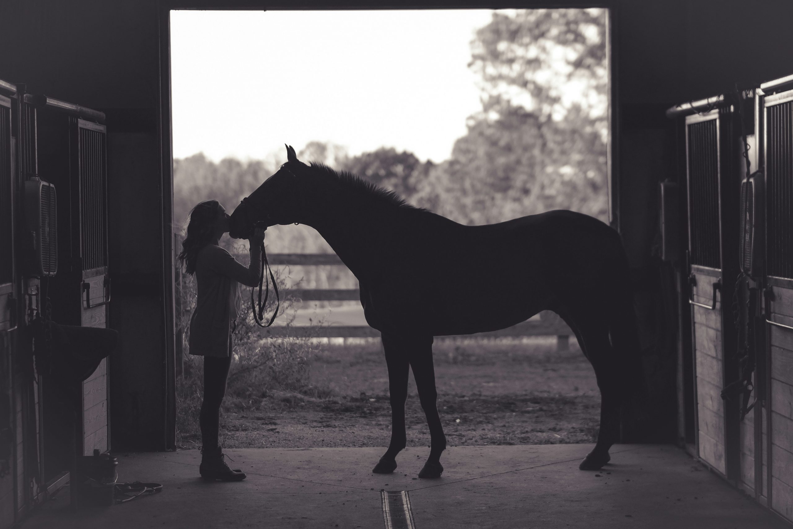 A black and white image of a woman next to her horse in a stable. The doors are open looking out into a field.