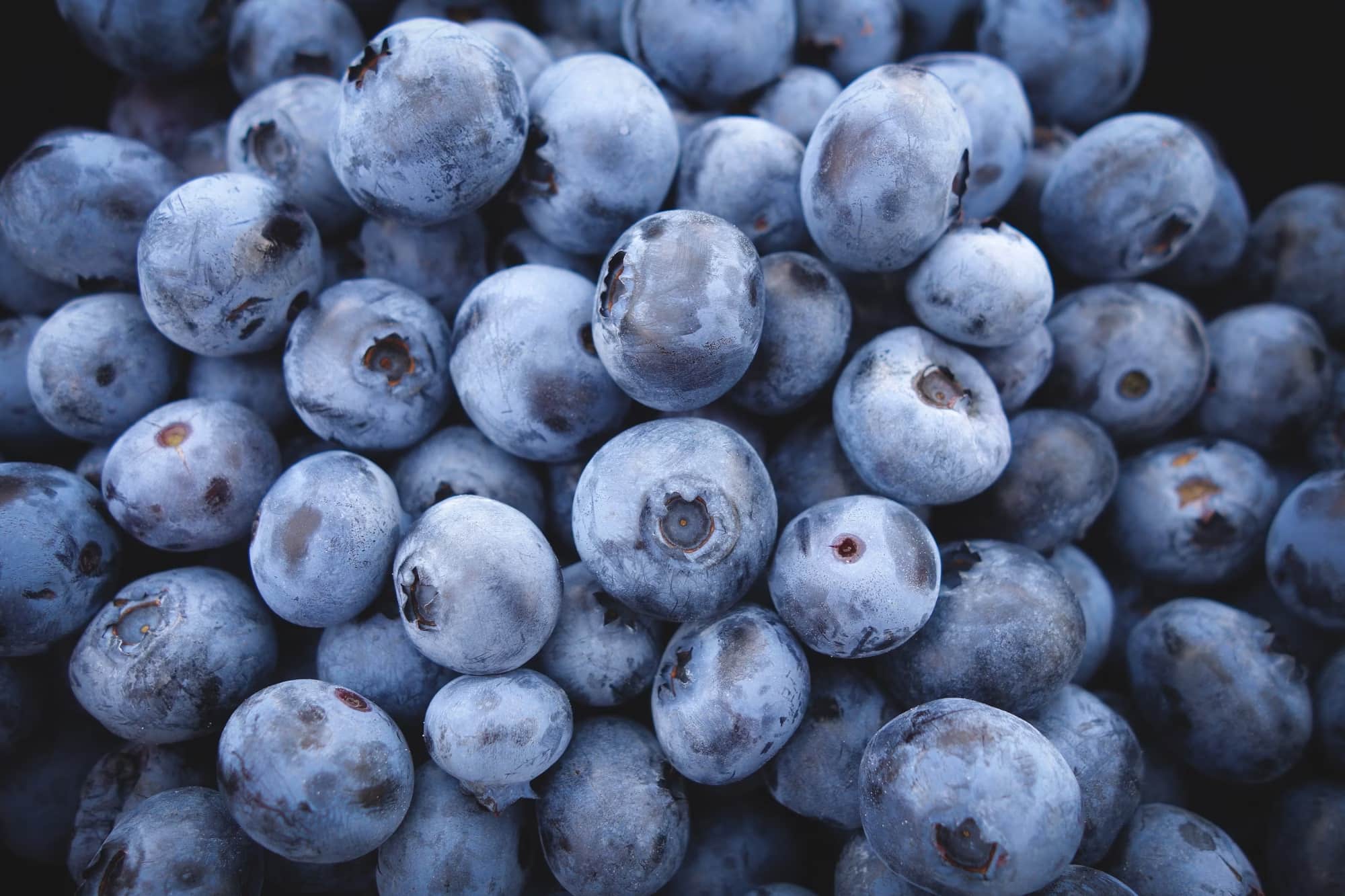 A pile of blueberries.