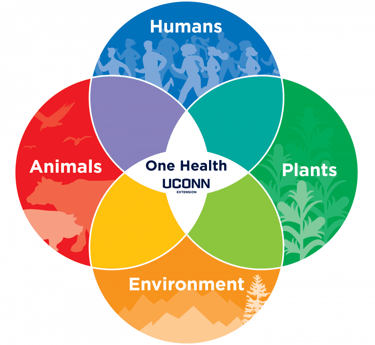 An illustration of overlapping colorful circles to showcase how One Health involves Humans, Plants, Animals, and their Environment