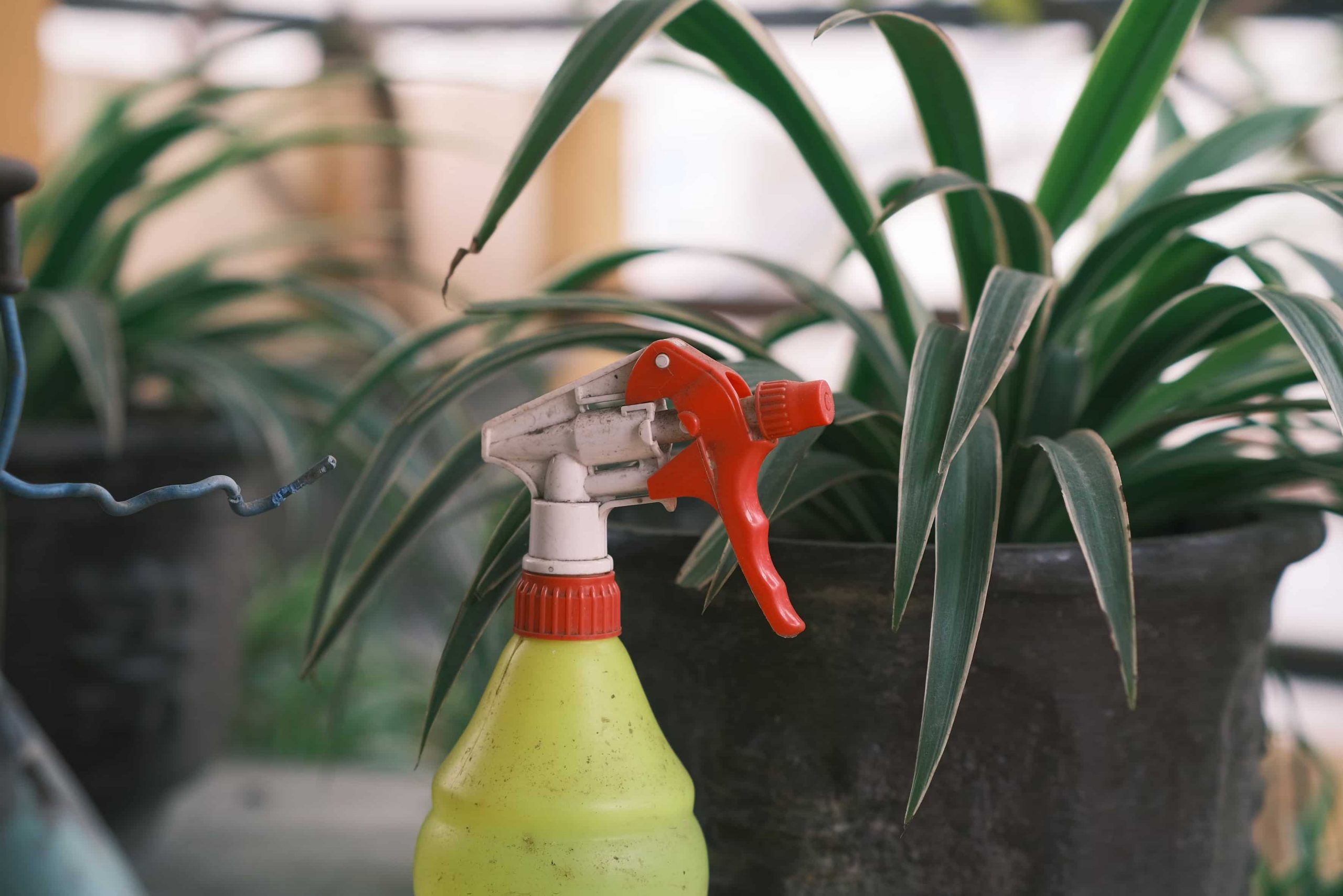 A dirty plastic spray bottle with a yellow bottle and white and spray handle. he bottle is sitting in front of potted green plants in the background.