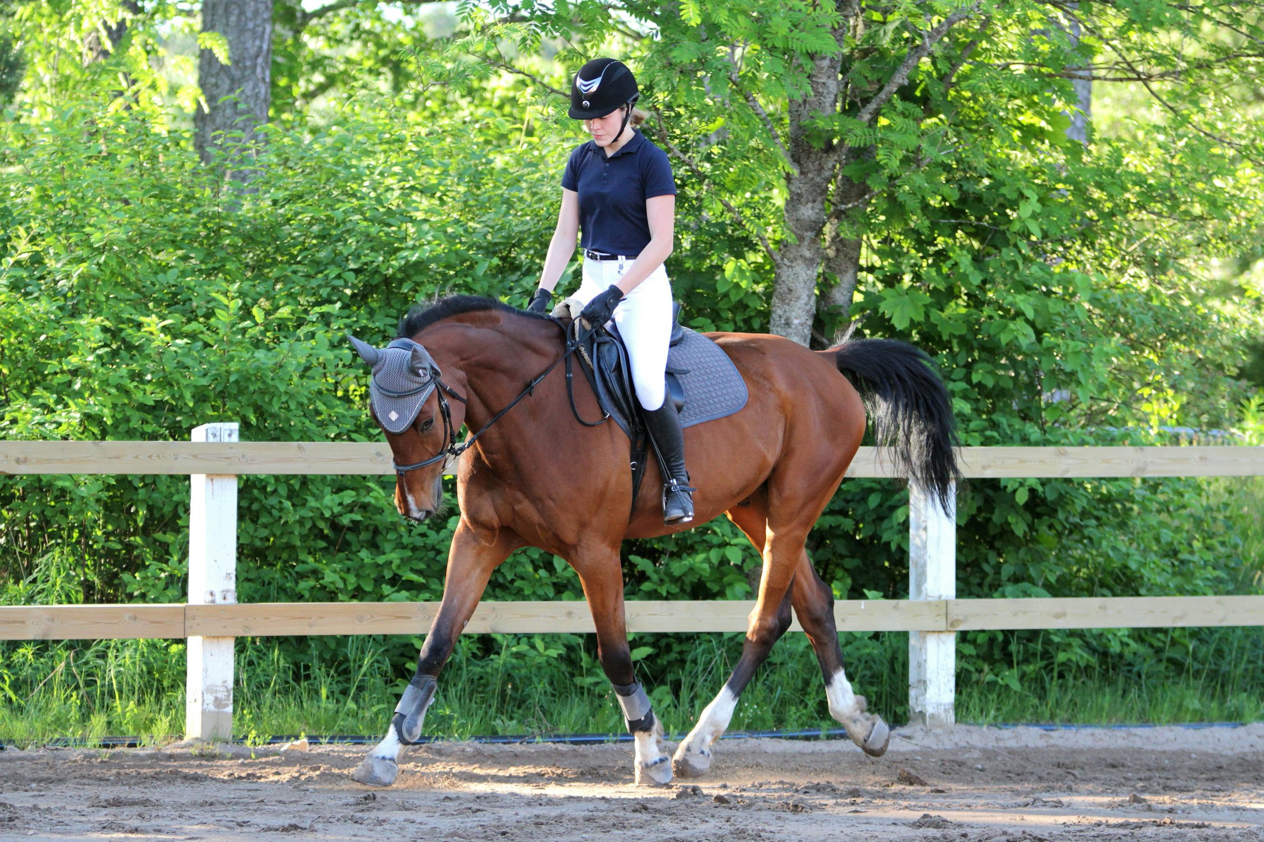 A person riding a brown horse in a dirt area enclosed by a wooden fence with green trees in the background.