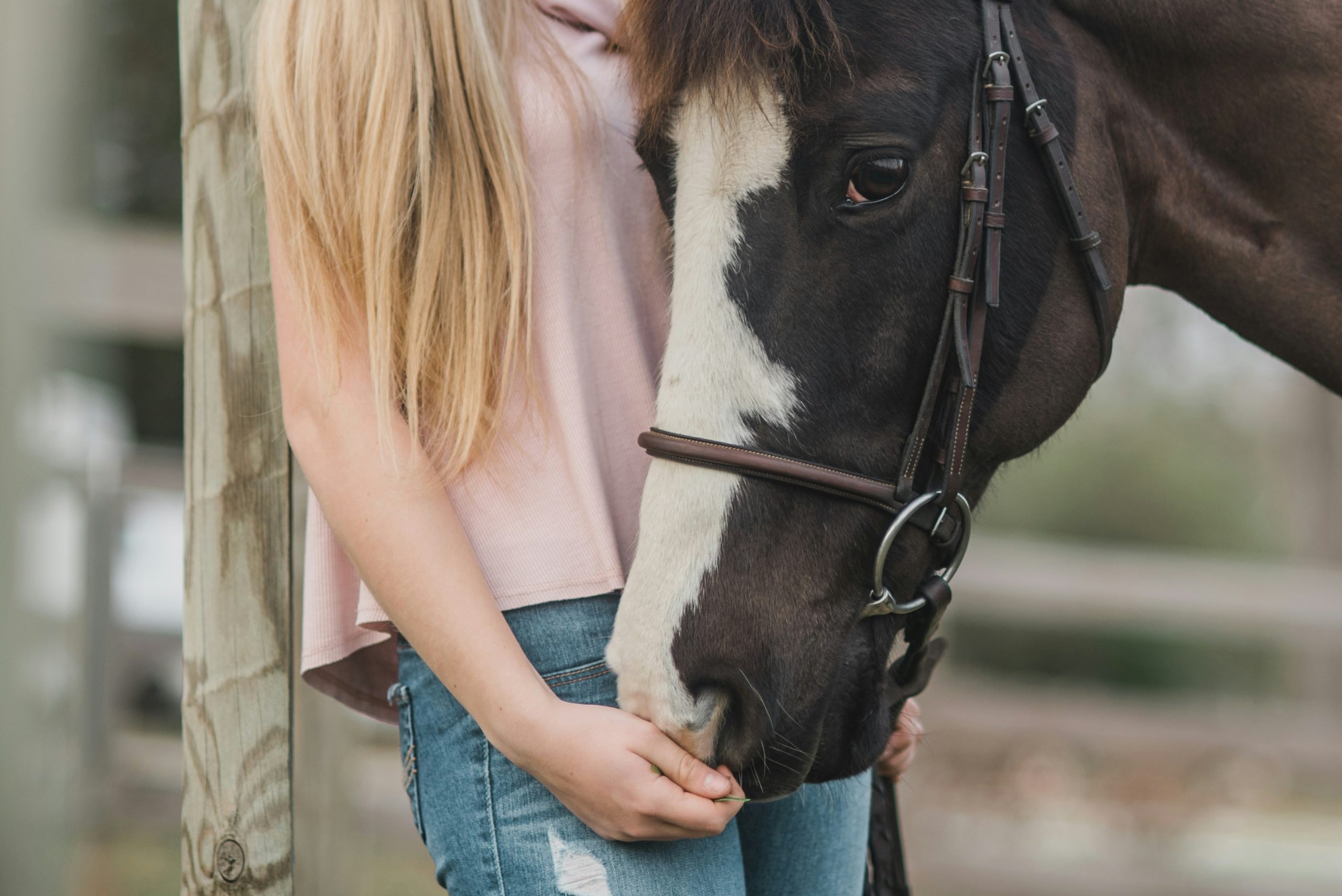 A photo of a person with blond hair, a pink top, and jeans leaing against a wooden post while holding the face of a dark brow and white horse.