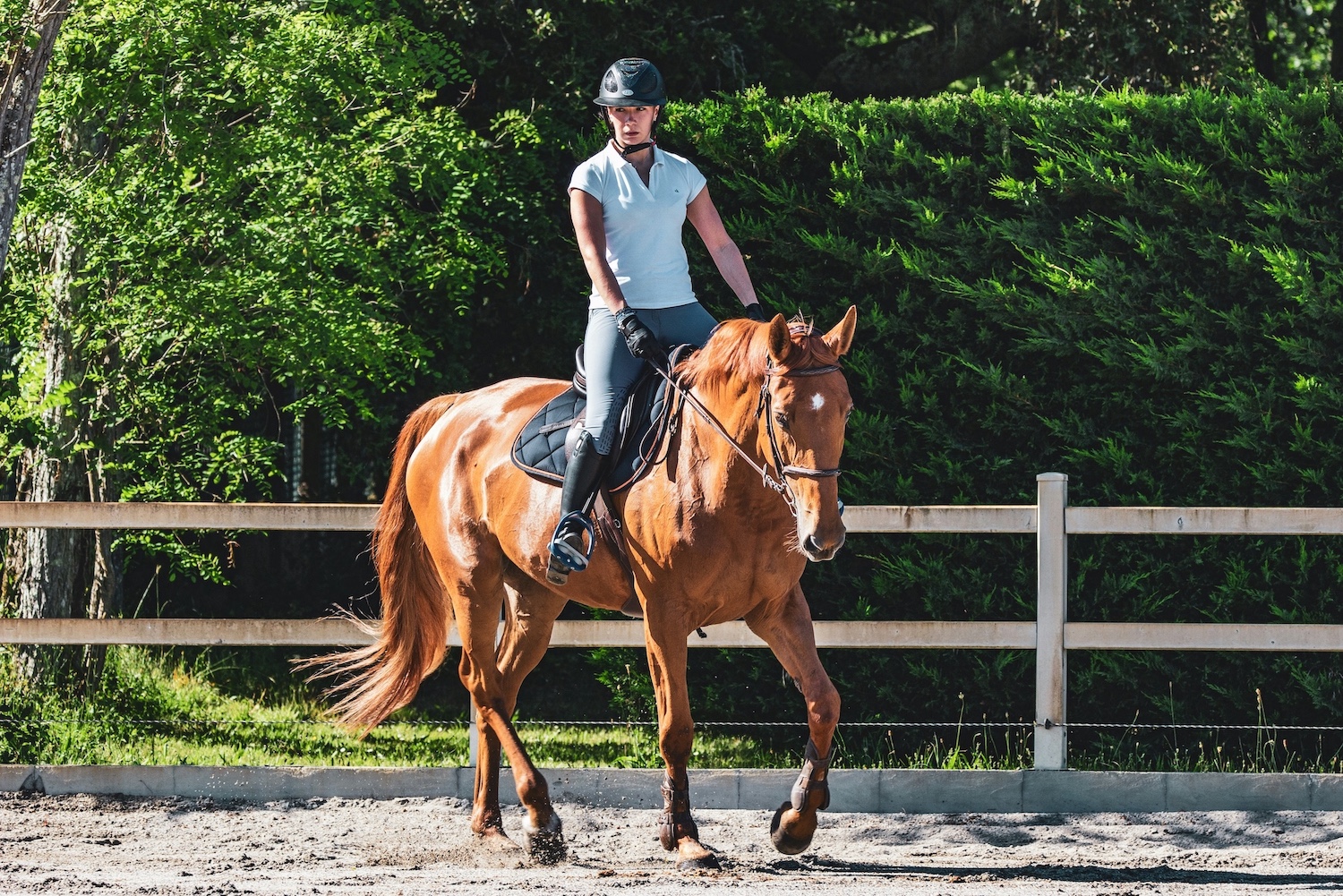 woman riding a chestnut horse outside in a sand ring