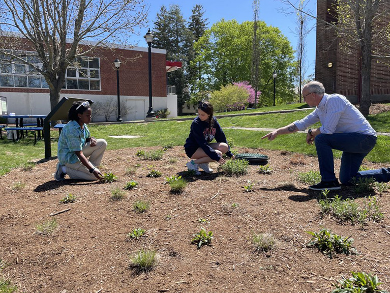 Students looking at a rain garden
