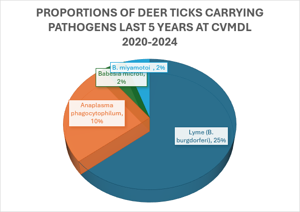 pie chart showing that majority of ticks tested by CVMDL are carrying Lyme disease