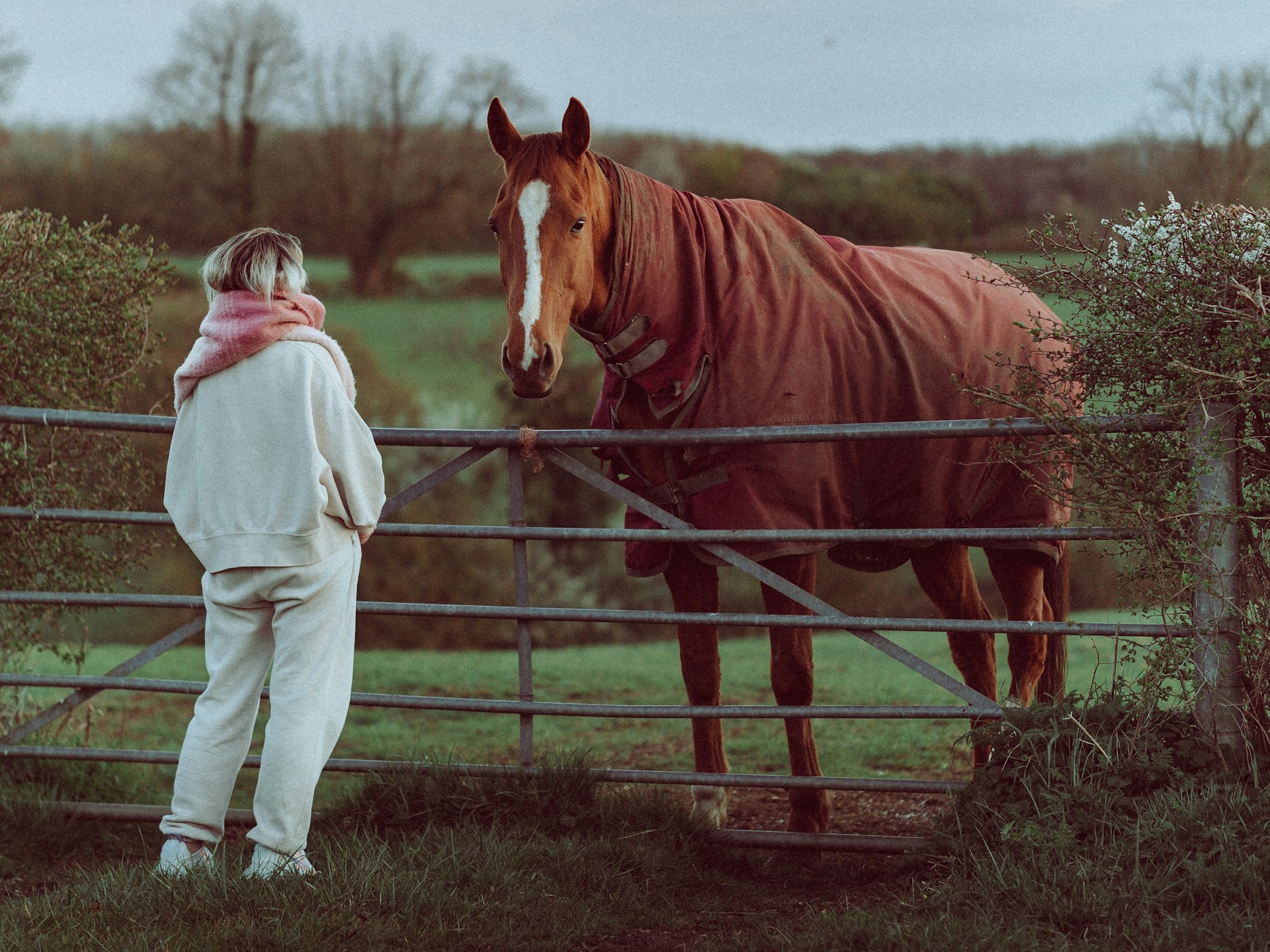 A woman with blond hair and white clothes standing next to a brown horse in a red blanket on the other side of a metal fence.