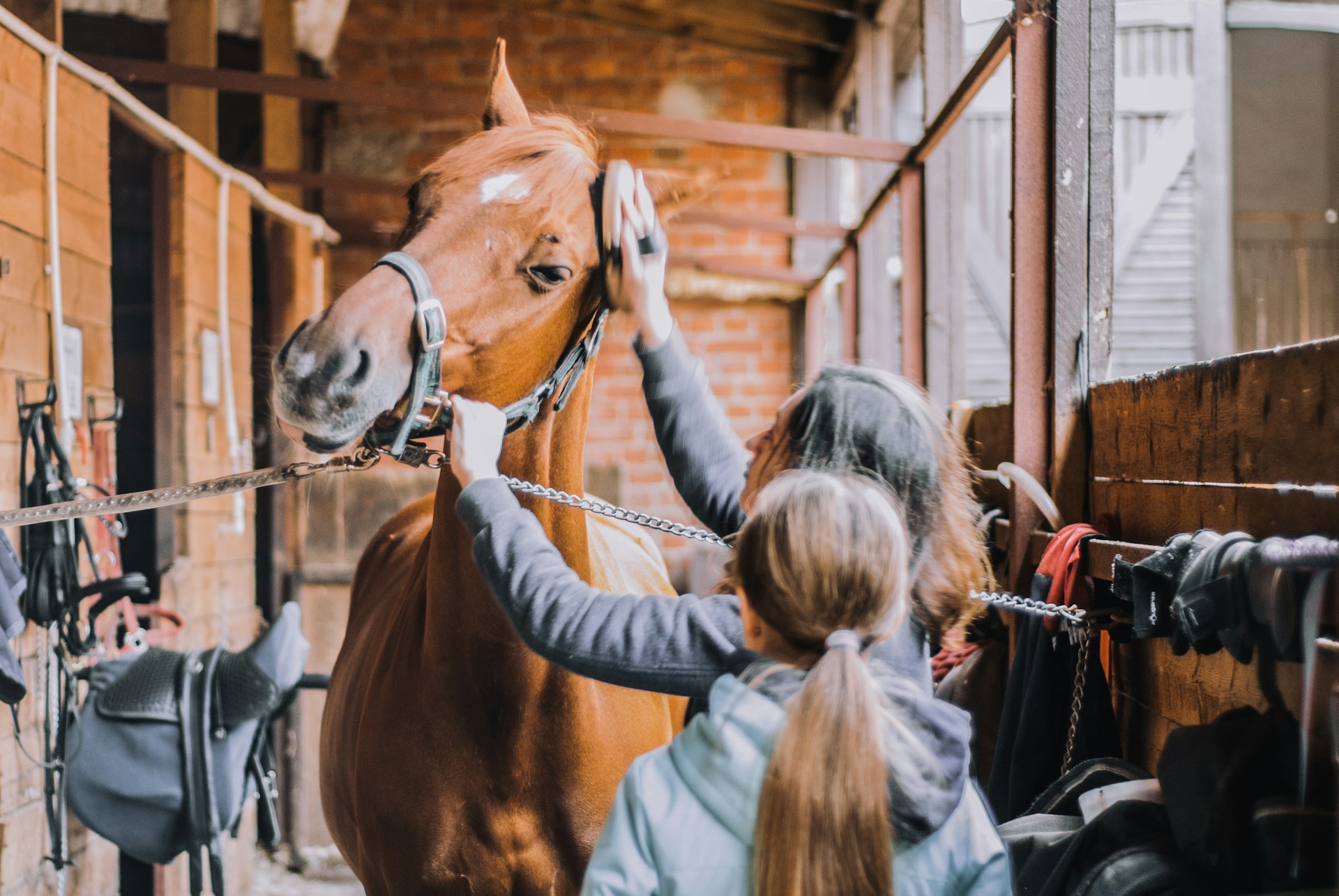 Two people brushing a brown horse in a stable.