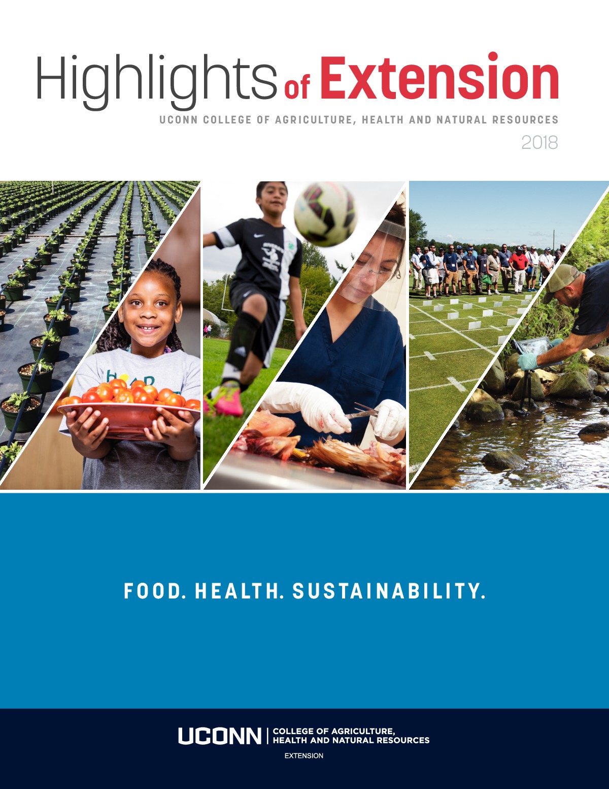 2018 Highlights Report