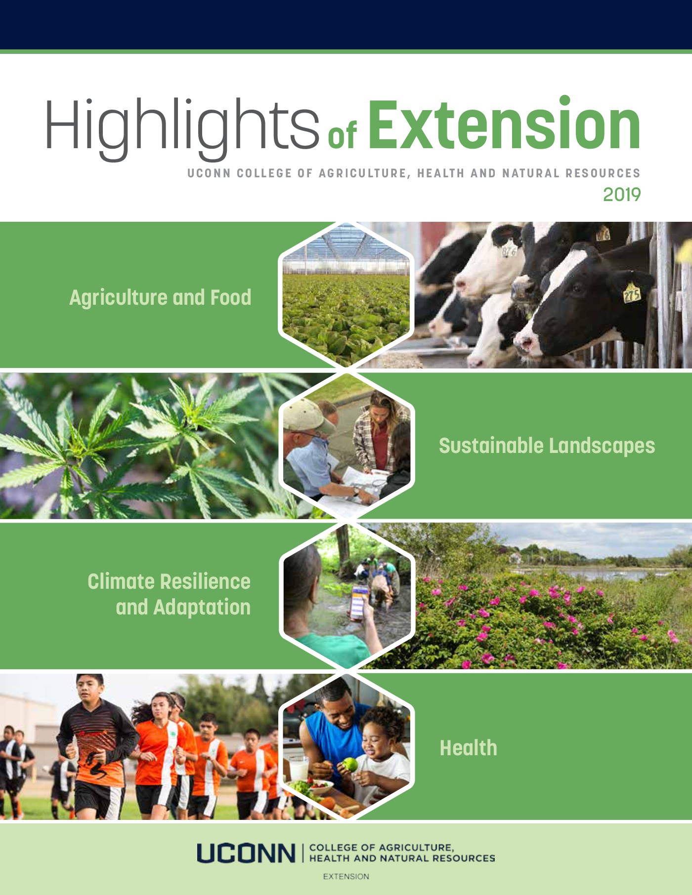 2019 Highlights Report