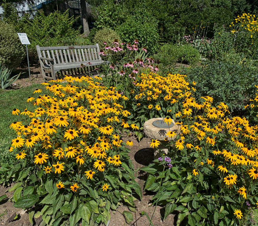Bartlett Arboretum
