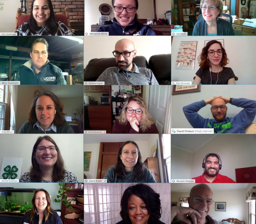 screen capture of a webinar meeting