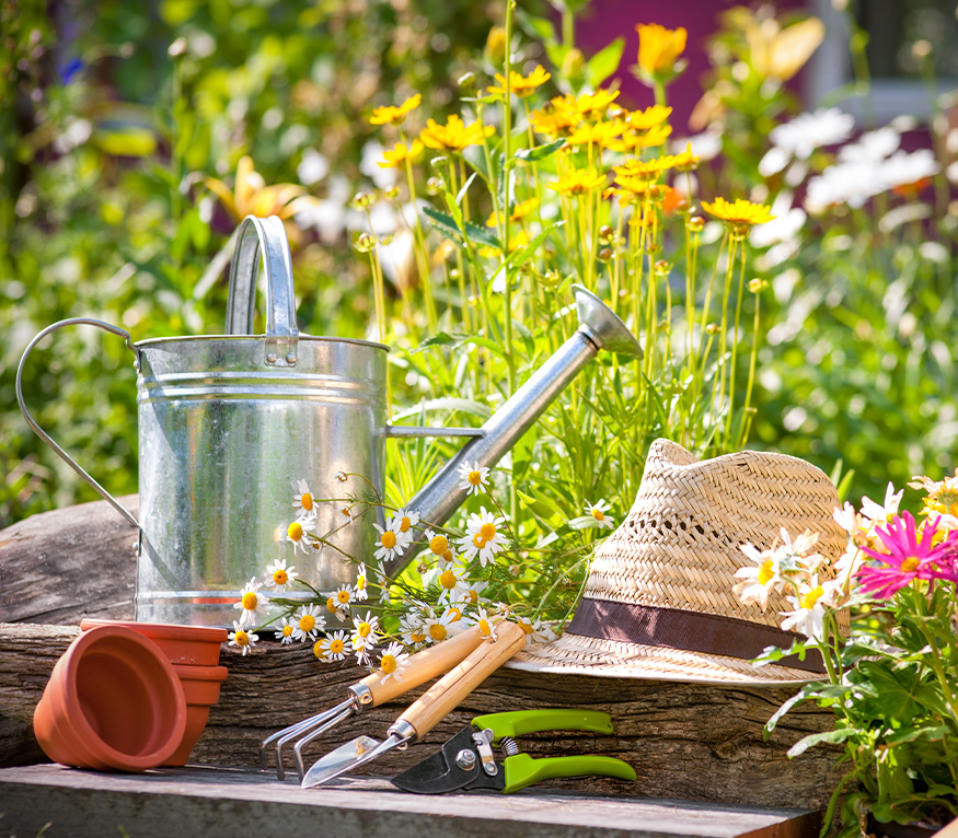 gardening supplies outside near flowers