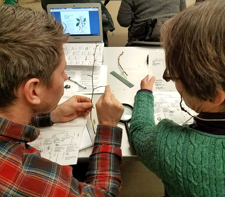 two people looking at a twig