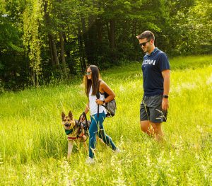 Two people walking a dog in a field