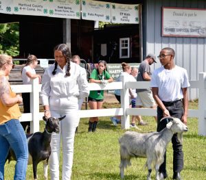 4-H fair kids showing goats