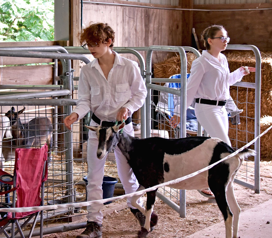 4-H kids with a goat at a fair