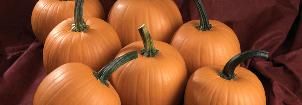 a group of pumpkins