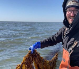 man holding sugar kelp string on a boat