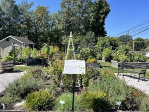 a sign standing in the middle of a garden