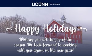Extension Holiday Card