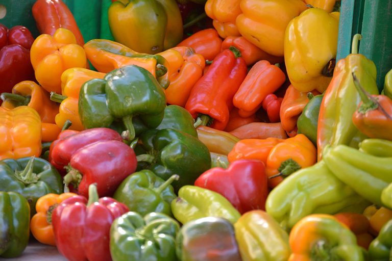 A photo of a pile of red, orange, and green peppers with green stems.